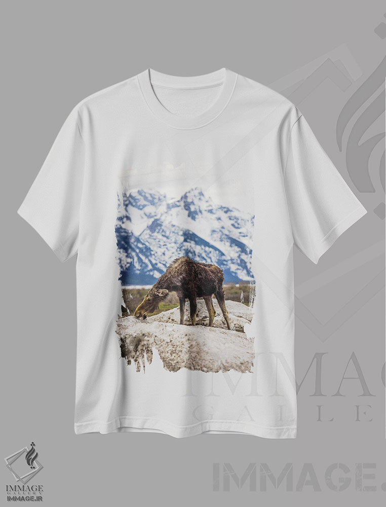 تیشرت طرح دار گوزن بزرگ تیتون، مدیوم اثر الکس جی پرز | immage.ir