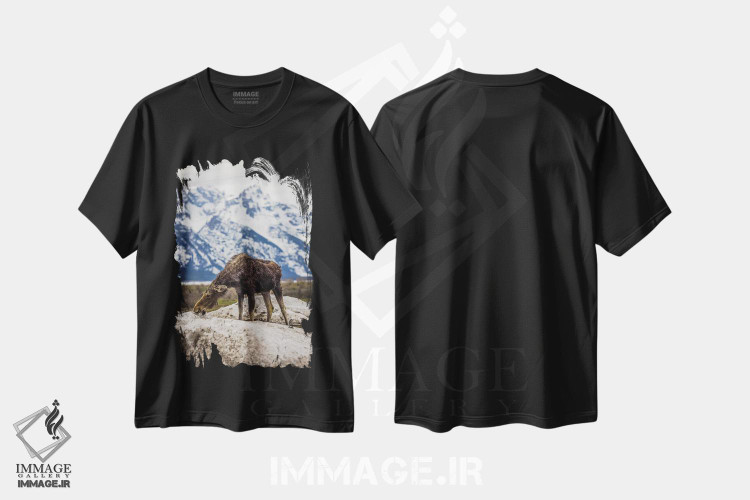 تیشرت طرح دار گوزن بزرگ تیتون، مدیوم اثر الکس جی پرز | فروشگاه ایماژ