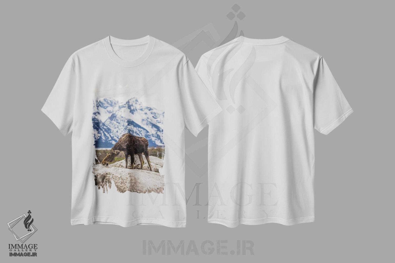 تیشرت طرح دار گوزن بزرگ تیتون، مدیوم اثر الکس جی پرز | immage.ir