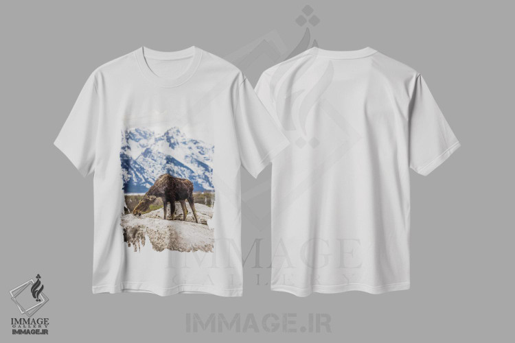 تیشرت طرح دار گوزن بزرگ تیتون، مدیوم اثر الکس جی پرز | immage.ir