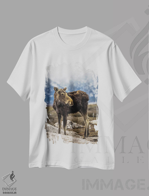 تیشرت طرح دار گوزن بزرگ تیتون، مدیوم اثر الکس جی پرز | immage.ir