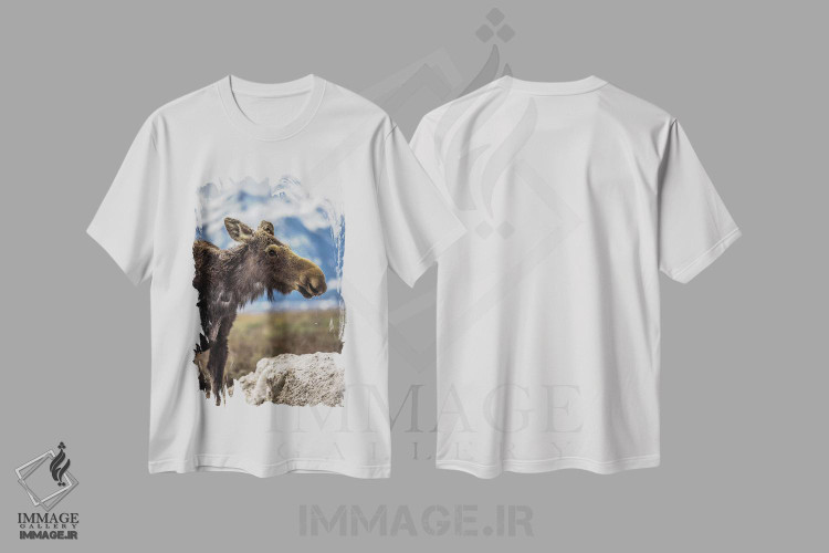 تیشرت طرح دار گوزن بزرگ تیتون، مدیوم اثر الکس جی پرز | immage.ir