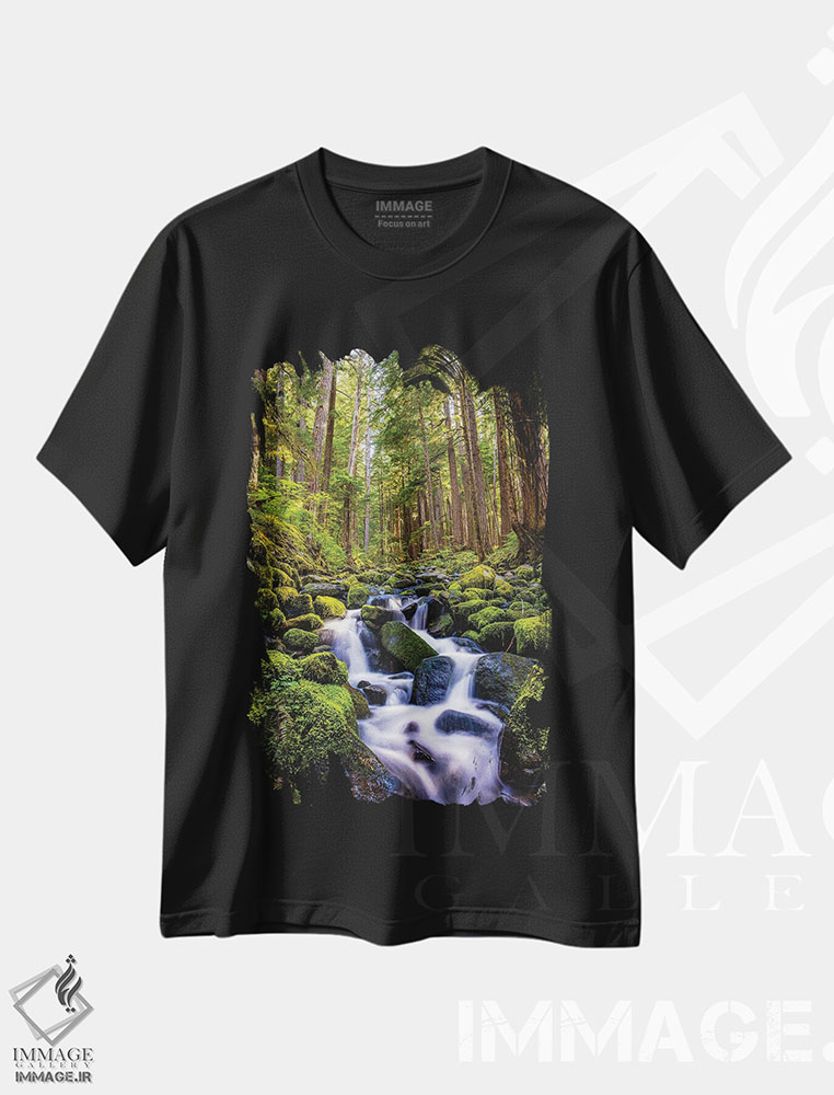 تیشرت طرح دار آبشار جنگلی پارک ملی المپیک شماره ۱، مدیوم اثر الکس جی پرز | فروشگاه ایماژ