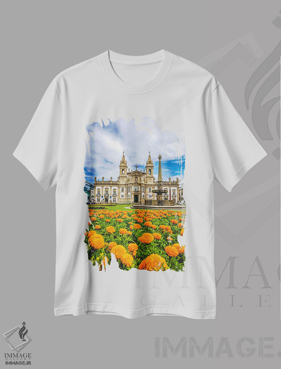 تیشرت طرح دار مرکز شهر براگا شماره ۱، مدیوم اثر الکس جی پرز | immage.ir