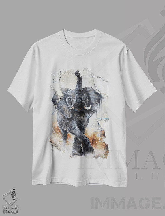 تیشرت طرح دار بیجاک، هنر فاخر معاصر اثر آناگرُز | immage.ir