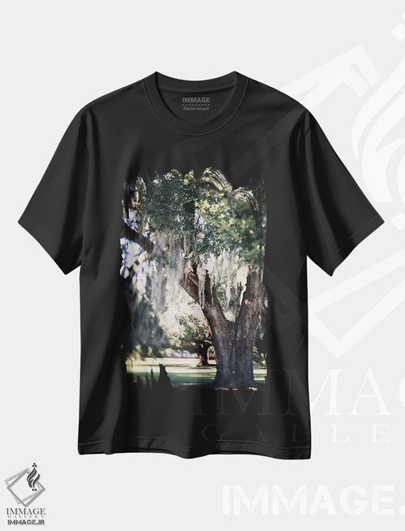 تیشرت طرح دار رویای روز نیواورلئان اثر آن هادک | فروشگاه ایماژ