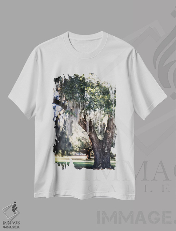 تیشرت طرح دار رویای روز نیواورلئان اثر آن هادک | immage.ir