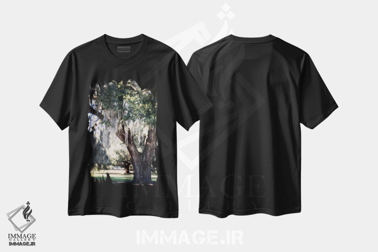 تیشرت طرح دار رویای روز نیواورلئان اثر آن هادک | فروشگاه ایماژ