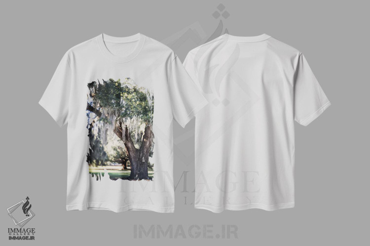 تیشرت طرح دار رویای روز نیواورلئان اثر آن هادک | immage.ir