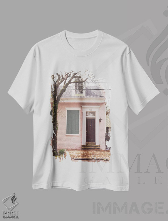 تیشرت طرح دار خانه کوچک صورتی، نیواورلئان، لوئیزیانا، مدیوم اثر آن هادک | immage.ir