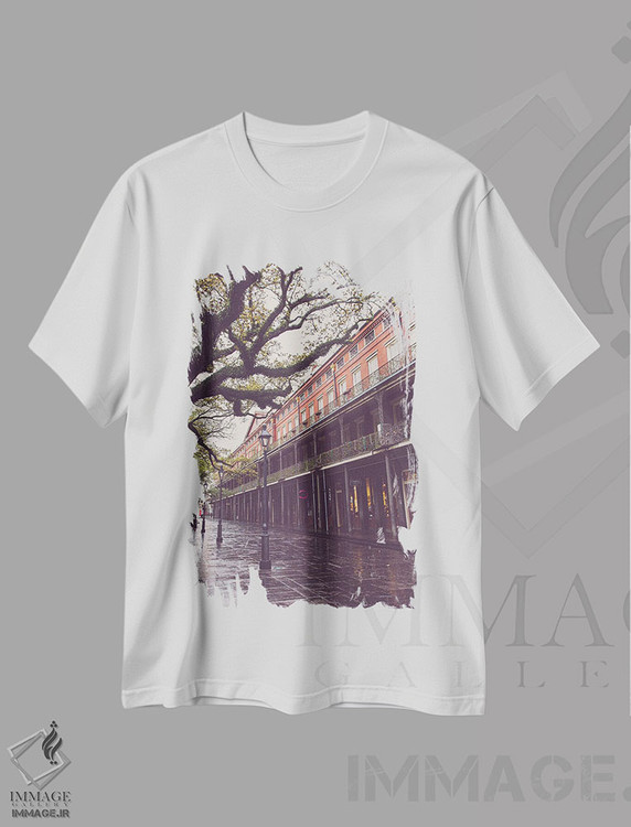تیشرت طرح دار میدان جکسون، نیواورلئان، لوئیزیانا، مدیوم اثر آن هادک | immage.ir