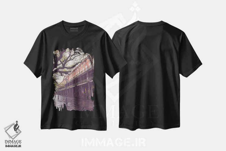 تیشرت طرح دار میدان جکسون، نیواورلئان، لوئیزیانا، مدیوم اثر آن هادک | فروشگاه ایماژ