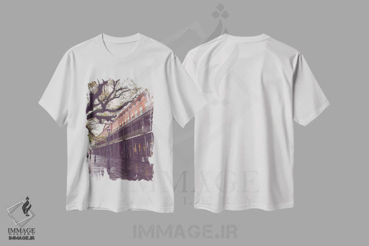 تیشرت طرح دار میدان جکسون، نیواورلئان، لوئیزیانا، مدیوم اثر آن هادک | immage.ir