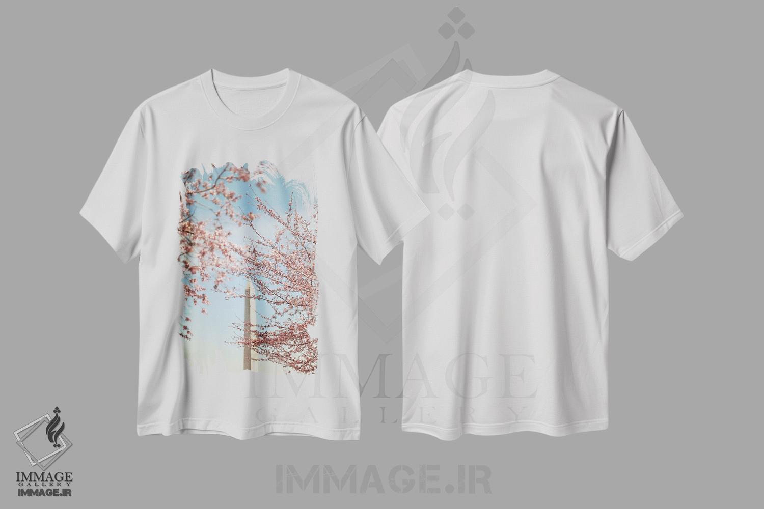 تیشرت طرح دار شکوفه های گیلاس و بنای یادبود واشینگتن، مدیوم اثر آن هادک | immage.ir