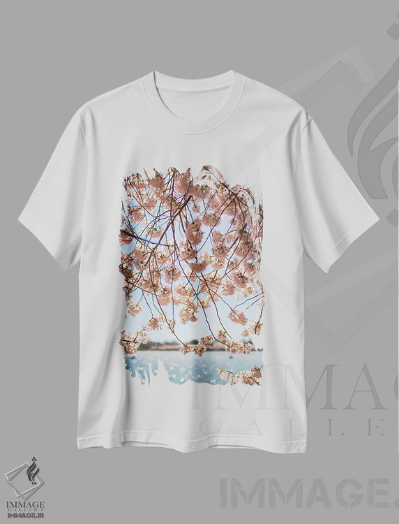تیشرت طرح دار شکوفه های گیلاس واشینگتن دی سی II، مدیوم اثر آن هادک | immage.ir