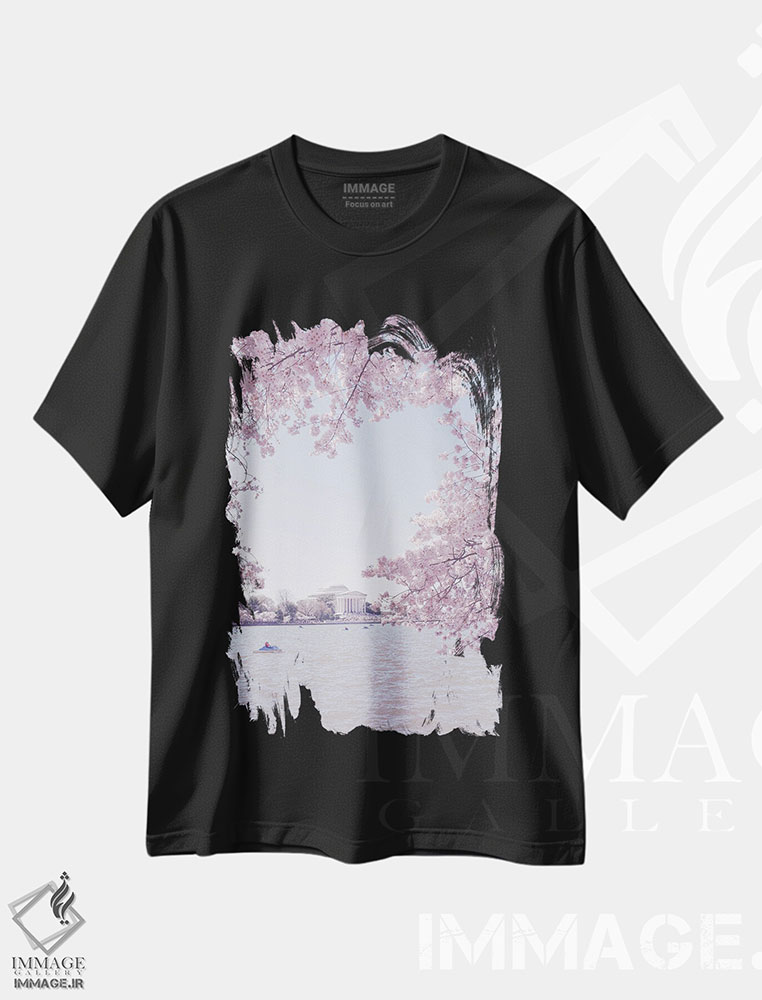 تیشرت طرح دار واشینگتن دی سی در فصل شکوفه II، مدیوم اثر آن هادک | فروشگاه ایماژ