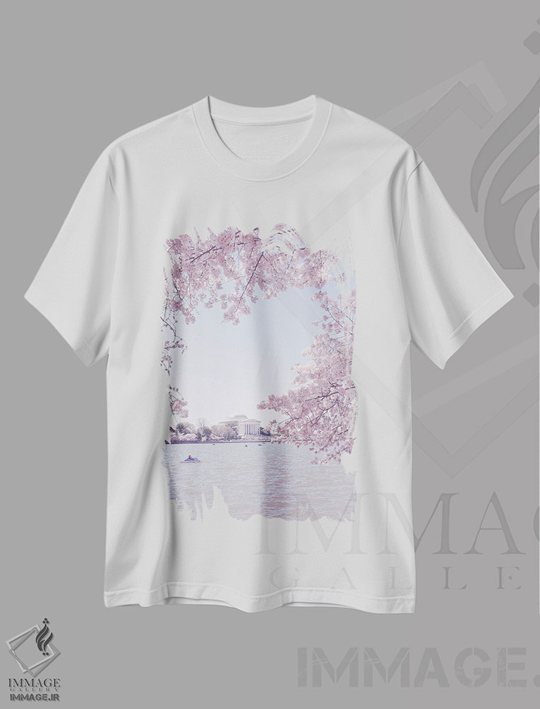 تیشرت طرح دار واشینگتن دی سی در فصل شکوفه II، مدیوم اثر آن هادک | immage.ir