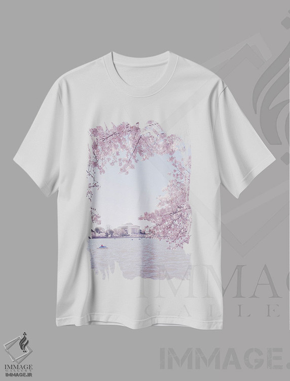 تیشرت طرح دار واشینگتن دی سی در فصل شکوفه II، مدیوم اثر آن هادک | immage.ir