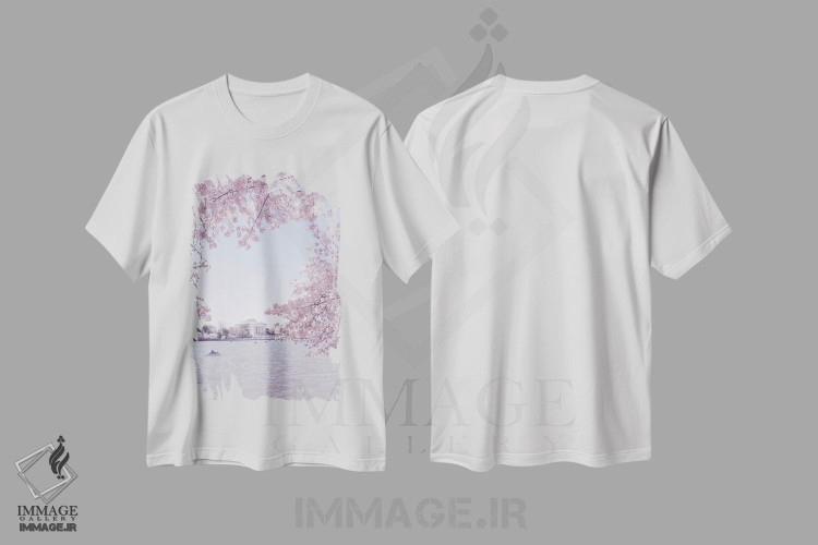 تیشرت طرح دار واشینگتن دی سی در فصل شکوفه II، مدیوم اثر آن هادک | immage.ir