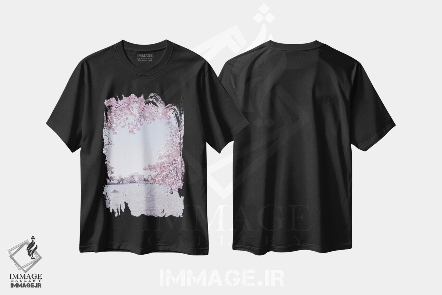 تیشرت طرح دار واشینگتن دی سی در فصل شکوفه II، مدیوم اثر آن هادک | فروشگاه ایماژ