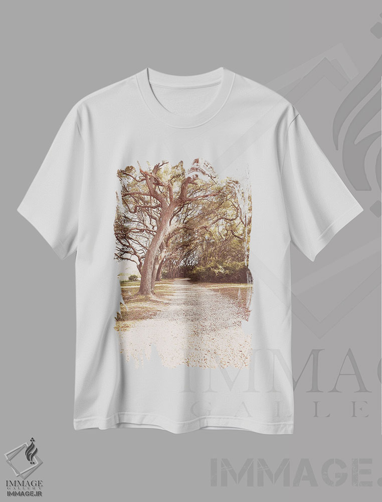 تیشرت طرح دار فلوریدای قدیمی ۲، مدیوم اثر آن هادک | immage.ir