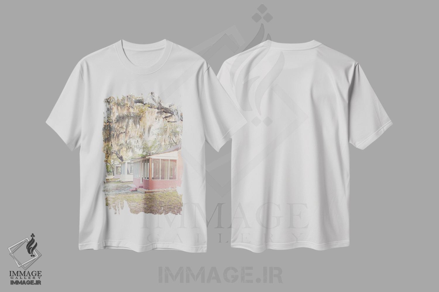 تیشرت طرح دار فلوریدای قدیمی، مدیوم اثر آن هادک | immage.ir