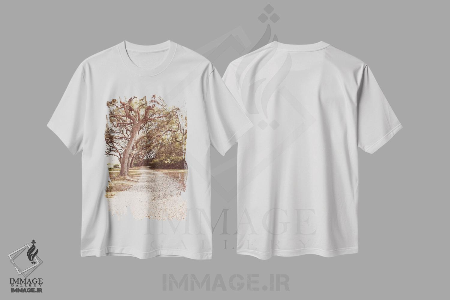تیشرت طرح دار فلوریدای قدیمی ۲، مدیوم اثر آن هادک | immage.ir