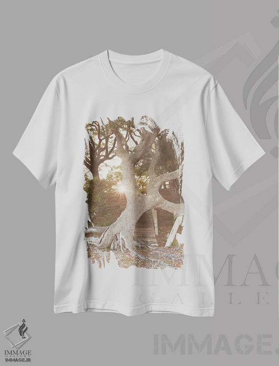 تیشرت طرح دار فلوریدای قدیمی ۳، مدیوم اثر آن هادک | immage.ir