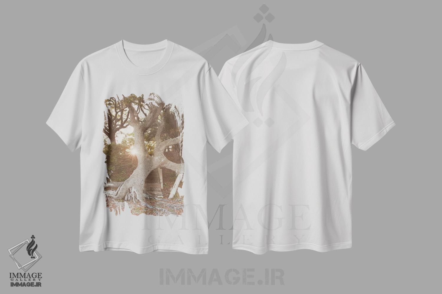 تیشرت طرح دار فلوریدای قدیمی ۳، مدیوم اثر آن هادک | immage.ir