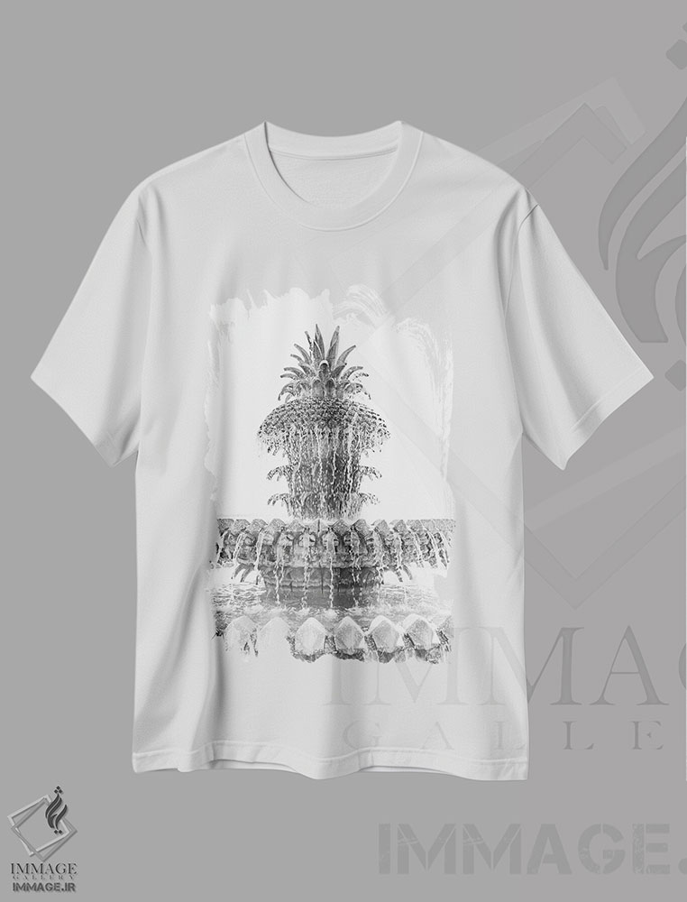 تیشرت طرح دار فواره آناناس X چارلستون کارولینای جنوبی، عکاسی سیاه و سفید اثر آن هادک | immage.ir