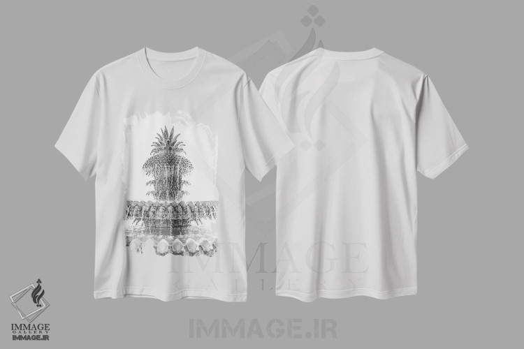 تیشرت طرح دار فواره آناناس X چارلستون کارولینای جنوبی، عکاسی سیاه و سفید اثر آن هادک | immage.ir