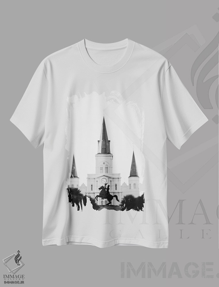 تیشرت طرح دار میدان جکسون نیواورلئان اثر آن هادک | immage.ir