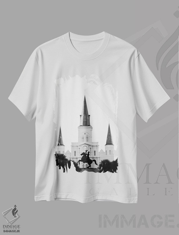 تیشرت طرح دار میدان جکسون نیواورلئان اثر آن هادک | immage.ir