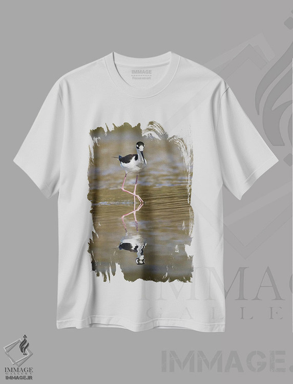 تیشرت طرح دار مرغ شاختاخ سیاه گردن، پارک ایالتی میاکا ریور، فلوریدا، مدیوم اثر آدام جونز | immage.ir