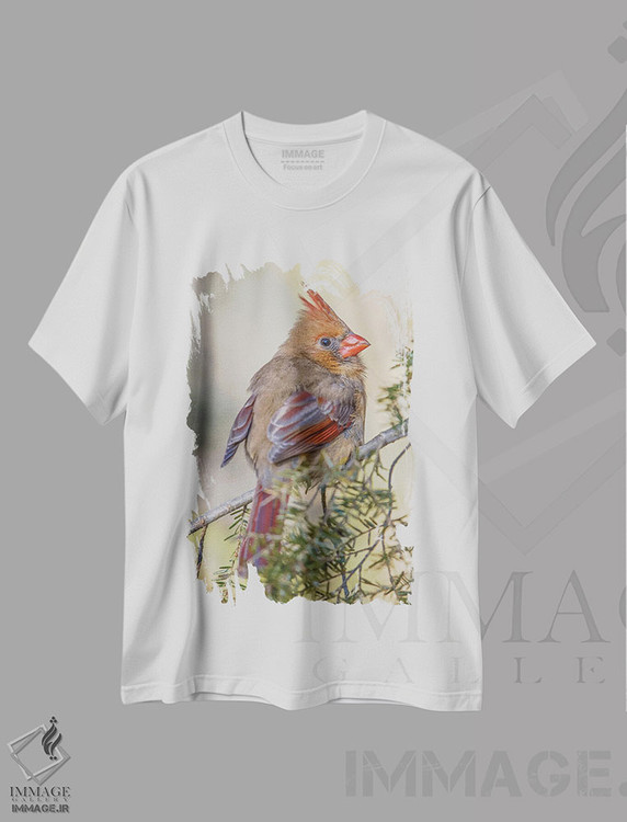 تیشرت طرح دار کاردینال شمالی ماده در زمستان، عکاسی ماکرو اثر آدام جونز | immage.ir