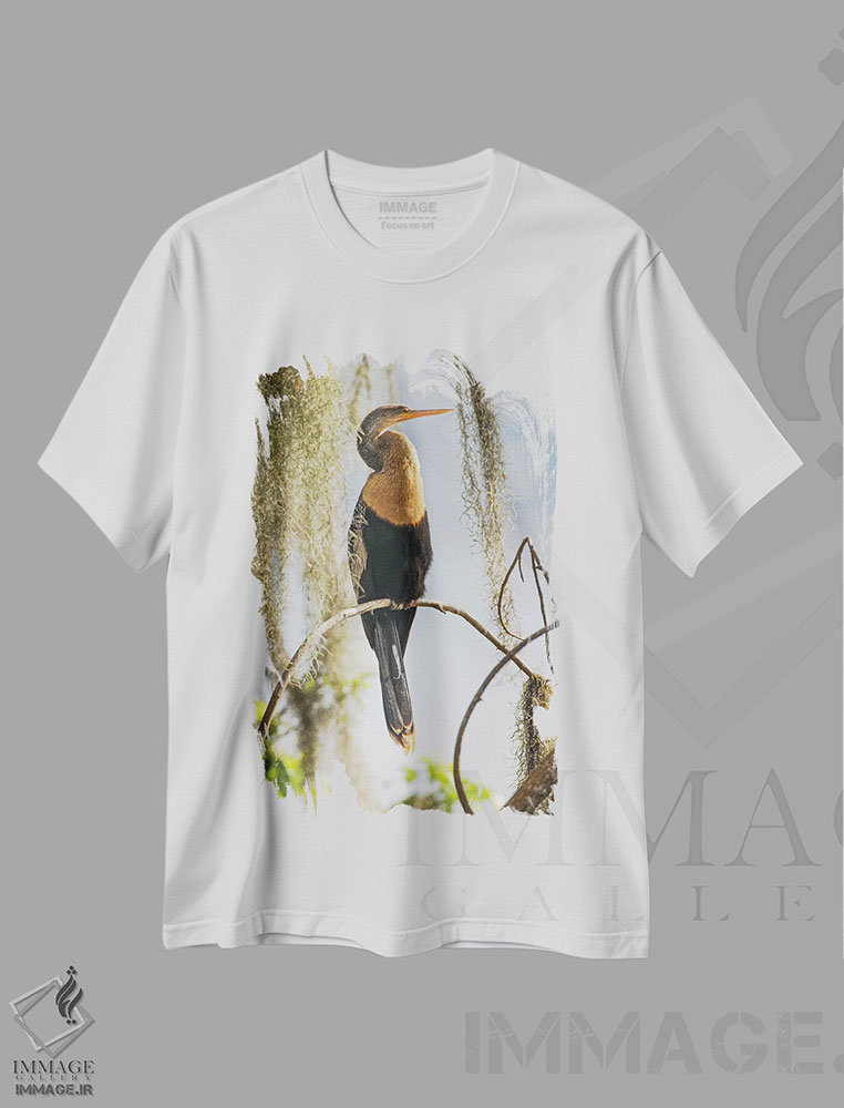 تیشرت طرح دار آن هینگای ماده، مزرعه سیرکل بی، فلوریدا، مدیوم اثر آدام جونز | immage.ir