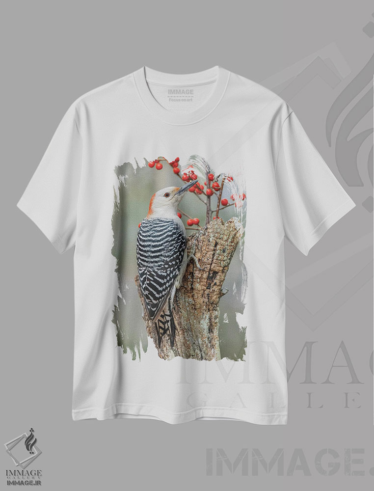 تیشرت طرح دار دارکوب شکم قرمز ماده و توت های قرمز، کنتاکی، عکاسی ماکرو اثر آدام جونز | immage.ir