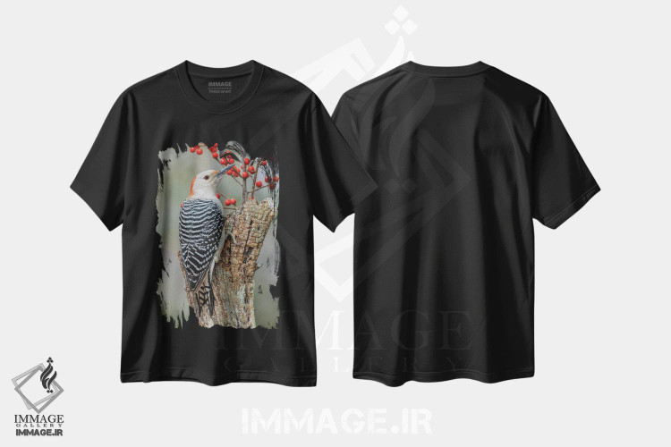 تیشرت طرح دار دارکوب شکم قرمز ماده و توت های قرمز، کنتاکی، عکاسی ماکرو اثر آدام جونز | فروشگاه ایماژ