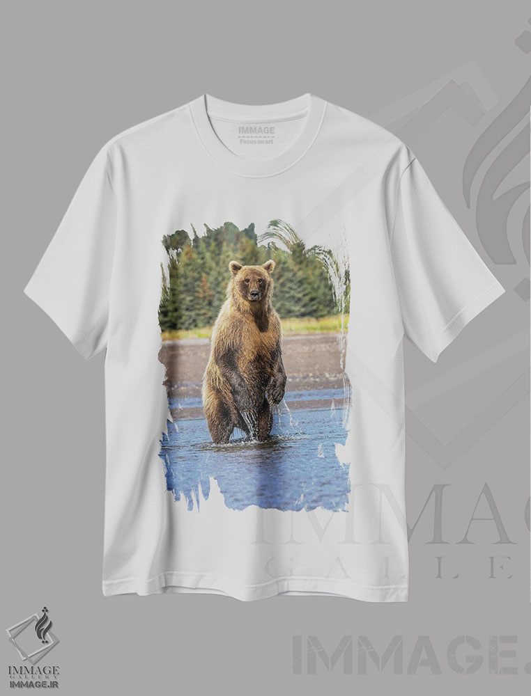 تیشرت طرح دار آثار آدام جونز - فروشگاه ایماژ