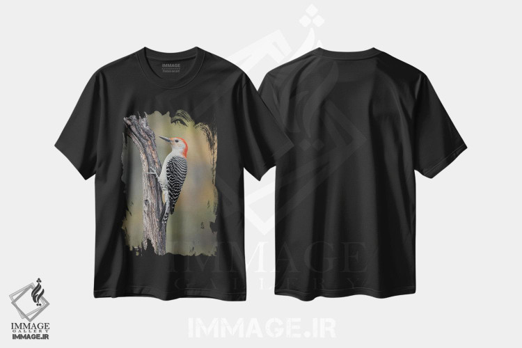 تیشرت طرح دار دارکوب شکم قرمز نر در پاییز، کنتاکی، مدیوم اثر آدام جونز | فروشگاه ایماژ