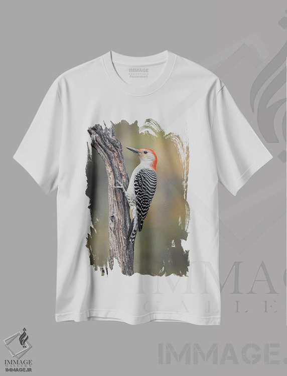 تیشرت طرح دار دارکوب شکم قرمز نر در پاییز، کنتاکی، مدیوم اثر آدام جونز | immage.ir
