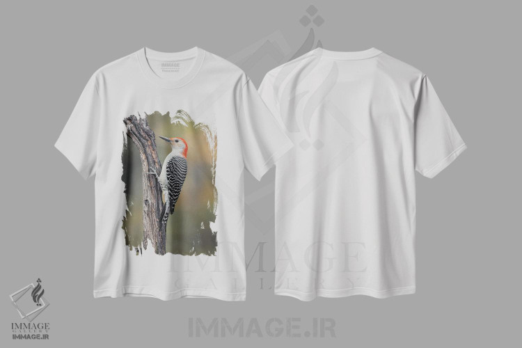 تیشرت طرح دار دارکوب شکم قرمز نر در پاییز، کنتاکی، مدیوم اثر آدام جونز | immage.ir