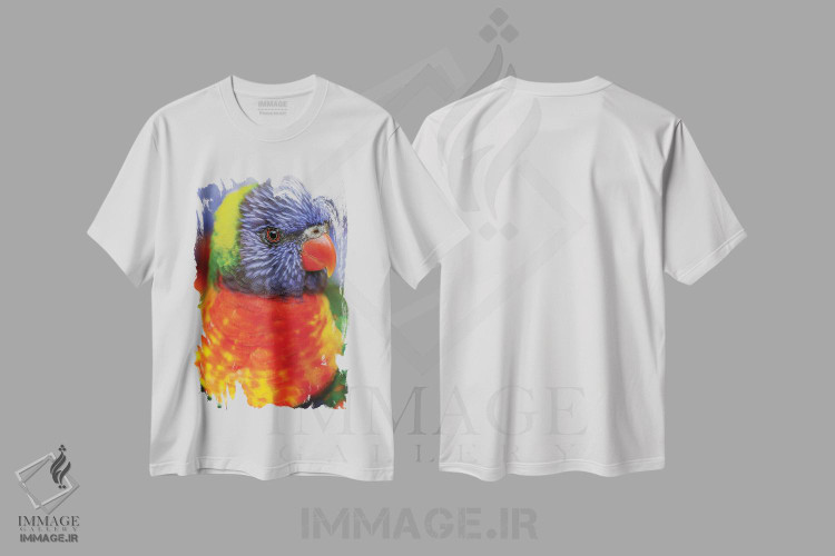 تیشرت طرح دار لوریکیت رنگین کمانی، بومی استرالیا، عکاسی ماکرو اثر آدام جونز | immage.ir