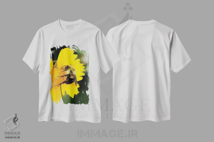 تیشرت طرح دار زنبور نجار در حال جمع آوری شهد، کنتاکی، عکاسی ماکرو اثر آدام جونز | immage.ir