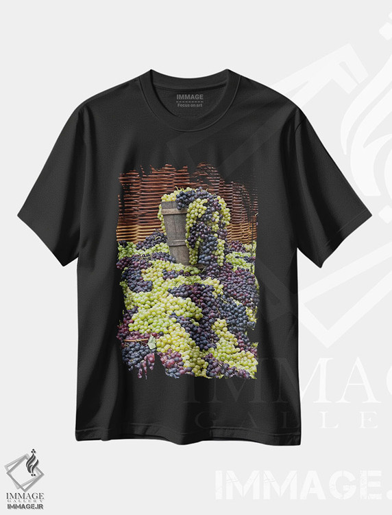 تیشرت طرح دار آثار آدام جونز - immage.ir