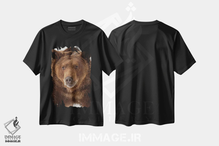 تیشرت طرح دار خرس گریزلی در زمستان، مونتانا، مدیوم اثر آدام جونز | فروشگاه ایماژ