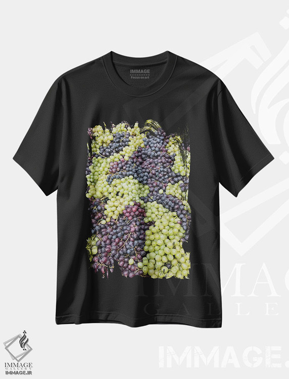 تیشرت طرح دار آثار آدام جونز - immage.ir