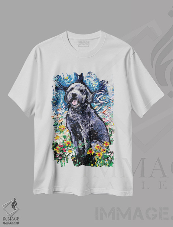 تیشرت طرح دار شب لابرادودل خاکستری، مدیوم اثر آجا تریر | immage.ir