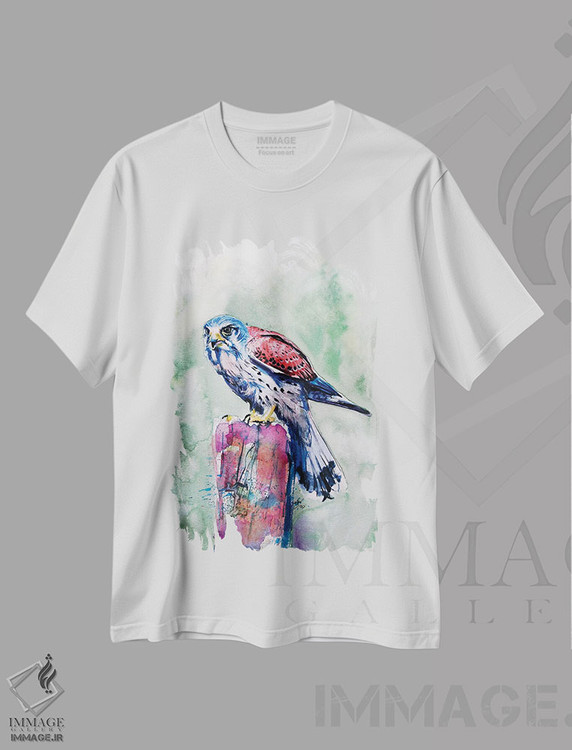 تیشرت طرح دار دلیجه، دکور معاصر اثر آنا بریجیتا کوواچ | immage.ir