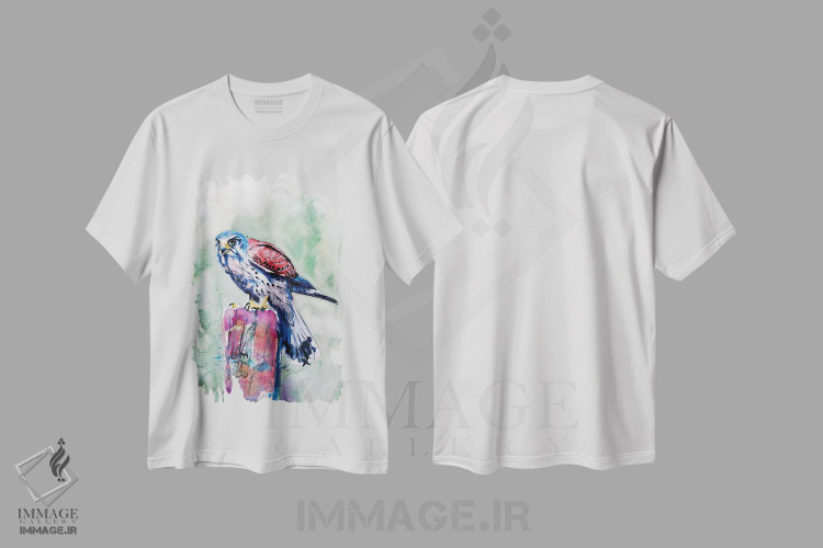 تیشرت طرح دار دلیجه، دکور معاصر اثر آنا بریجیتا کوواچ | immage.ir